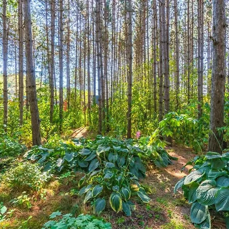 Hiking Nature & Charm, Cleaning Included Holiday home *