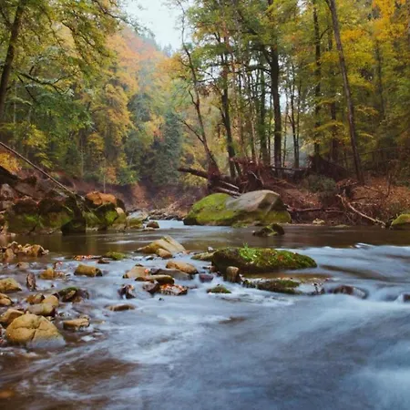 Holiday home Hiking Nature & Charm, Cleaning Included Roes